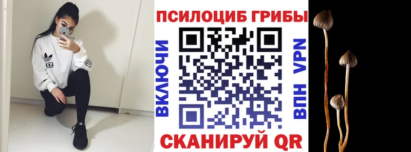 это какой сайт  Мытищи  Галлюциногенные грибы Magic Shrooms  hydra рабочий сайт 