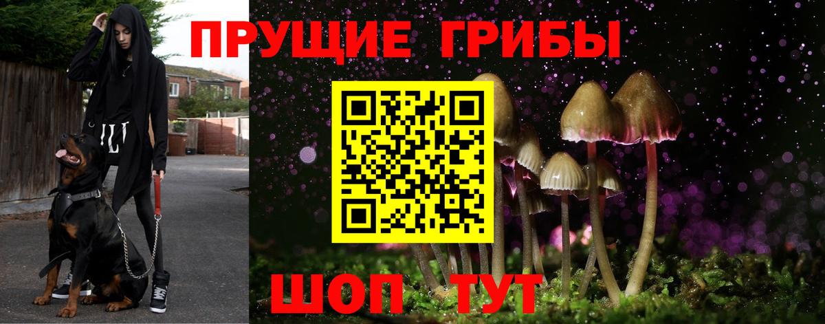 Мяу-Мяу  Гарик  CBD масло  КОКАИН  25-NBOMe  Наркошоп  ГАШ  Бошки Шишки  Мытищи  Вход с VPN  МДМА 